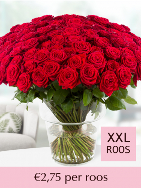 100 t/m 499 rode rozen - Red Naomi