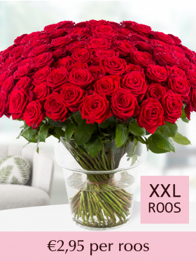 100 t/m 499 rode rozen - Red Naomi