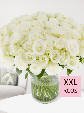 100 witte rozen - Snowstorm