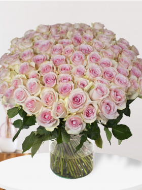 100 zachtroze rozen - Sweet Revival
