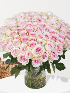 100 zachtroze rozen - Sweet Revival