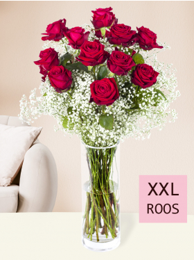 15 rode rozen met gipskruid (XXL rozen)