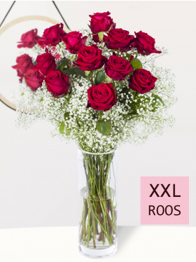 15 rode rozen met gipskruid - XXL