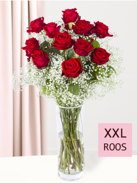 15 rode rozen met gipskruid - XXL