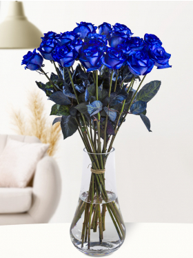20 blauwe rozen