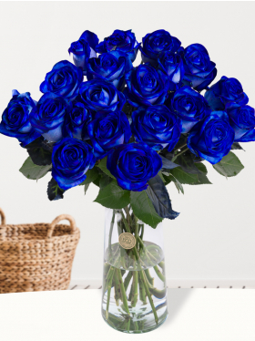 20 blauwe rozen