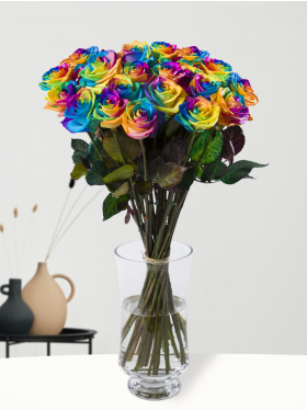 20 regenboog rozen