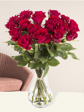 20 rode rozen