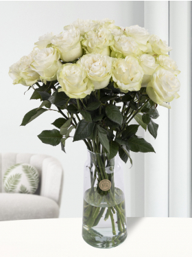 20 witte rozen uit Ecuador