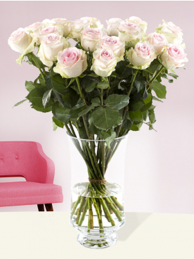 20 zachtroze rozen - Sweet Revival