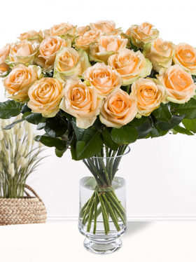 20 zalmkleurige rozen