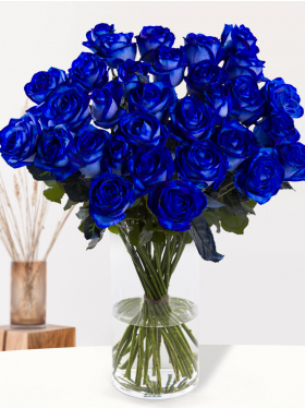 30 blauwe rozen