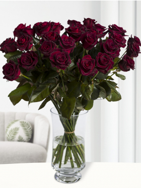 30 dieprode rozen - Black Baccara