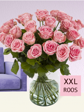 30 roze rozen XXL - Sophia Loren