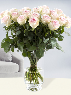 30 zachtroze rozen - Sweet Revival