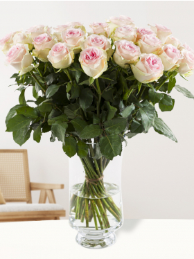 30 zachtroze rozen - Sweet Revival