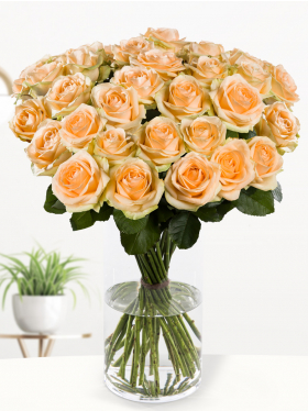 30 zalmkleurige rozen