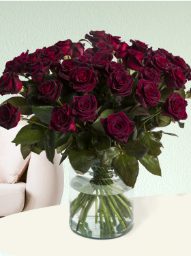 50 dieprode rozen - Black Baccara