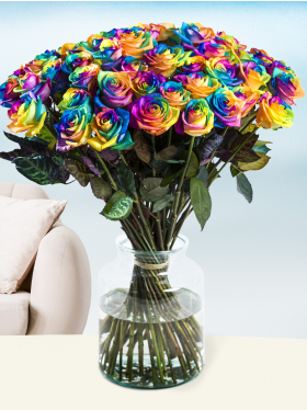 50 regenboog rozen