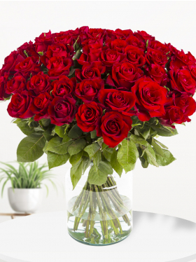50 rode rozen