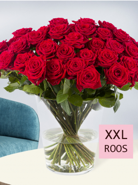 50 rode rozen - Red Naomi