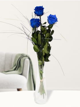 Drie blauwe long life rozen inclusief vaasje