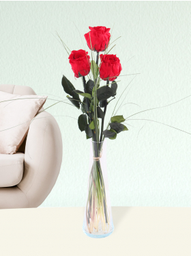 Drie rode long life rozen inclusief vaasje