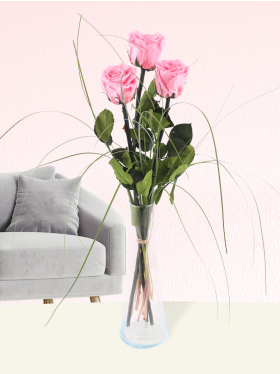 Drie roze long life rozen inclusief vaasje
