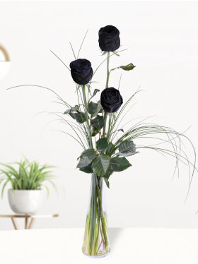 Drie zwarte rozen, inclusief vaasje