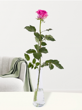Enkele roze roos inclusief vaasje - Revival