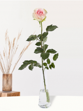 Enkele roze roos, inclusief vaasje - Sweet Revival