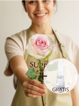 Enkele roze roos, inclusief vaasje - Sweet Revival