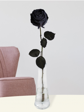 Zwarte roos, inclusief vaasje