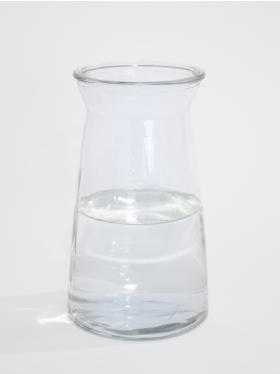 Glasvaas Evita