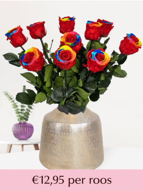 5 t/m 20 long life regenboog rozen