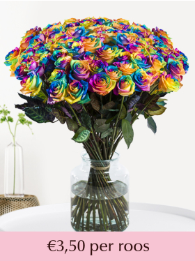 100 tot en met 500 regenboog rozen