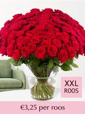 500 t/m 1001 rode rozen