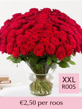 500 t/m 1001 rode rozen - Red Naomi