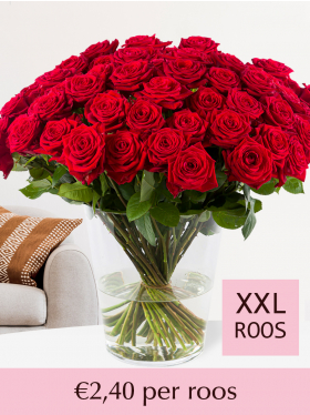 maximaliseren Mammoet lezer 100 tot en met 499 rode rozen | Surprose.nl