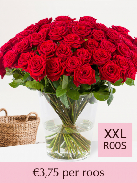 10 t/m 99 rode rozen - Red Naomi