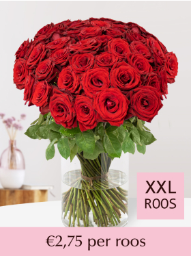 Kies je aantal rode rozen - Red Bentley