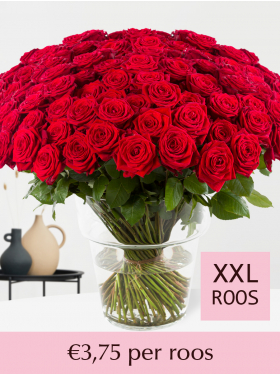 Kies je aantal rode rozen 100-499 - Valentijnsdag