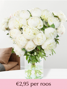 Witte pioenrozen - 10 t/m 99 stuks