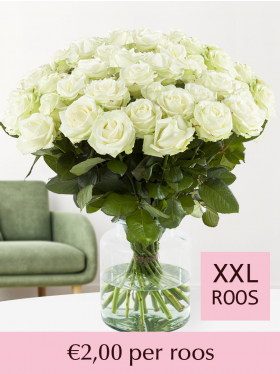 Kies je aantal witte rozen - 100 tot en met 499