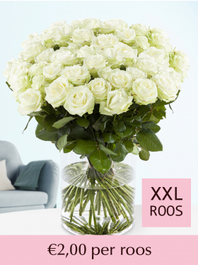 500 t/m 1001 witte rozen