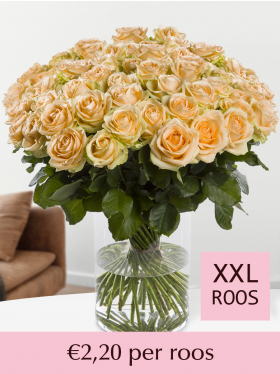 Kies je aantal zalmkleurige rozen - 100 t/m 499