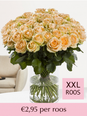 Kies je aantal zalmkleurige rozen - 100 t/m 499