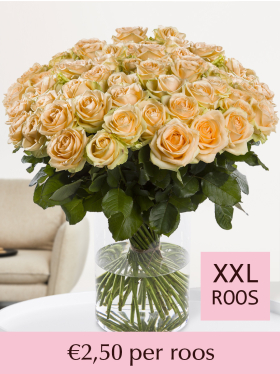 Kies je aantal zalmkleurige rozen - 100 t/m 499