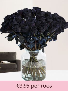10 t/m 49 zwarte rozen