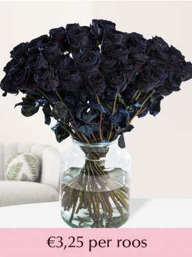 10 t/m 49 zwarte rozen
